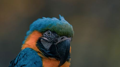 杭州動物園