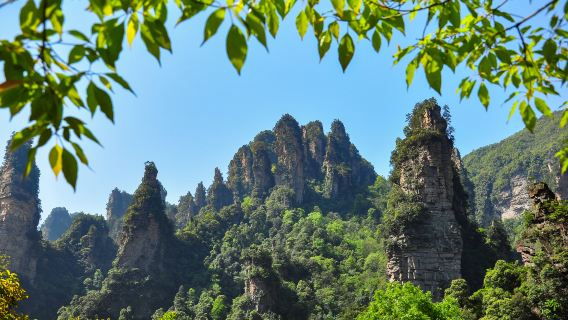 Zhangjiajie National Forest Park One-Day Tour: Tianzi Mountain and Yuanjiajie