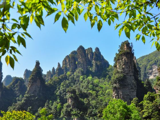 Zhangjiajie National Forest Park