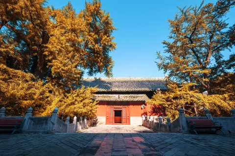 Dajue Temple