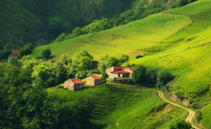 Vuelos Asturias Barcelona