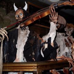 Dracula's Cabaret ResTaurAnt User Photo