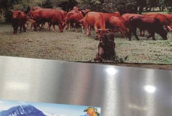 佳荣喇叭生态牛肉馆 user photo