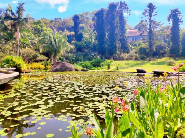 Xiamen Botanical Garden