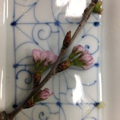 Asakusa Imahan User Photo