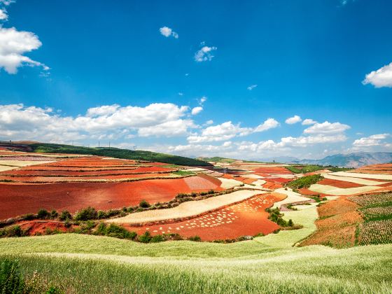 Dongchuan Red Land