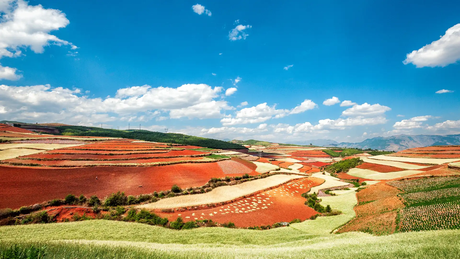 Hotels near Dongchuan Red Land