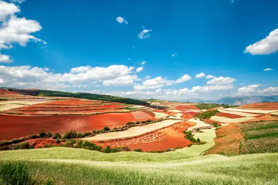 Hotel dekat Dongchuan Red Land