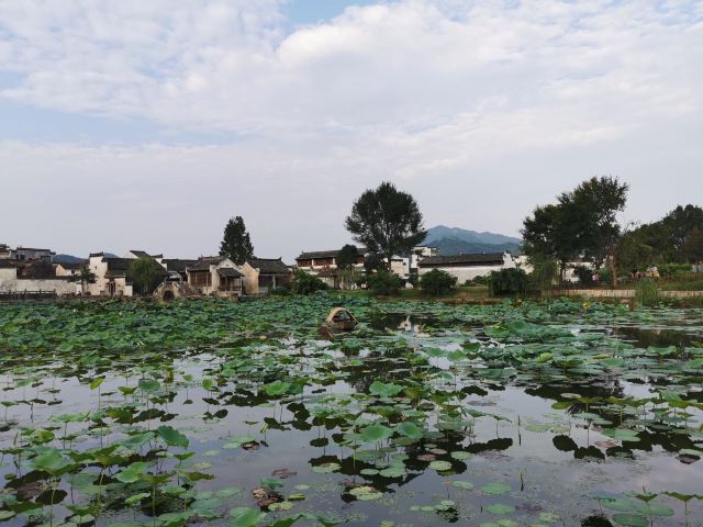 청칸촌