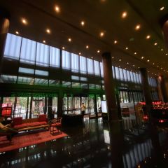 Five Zen5es User Photo