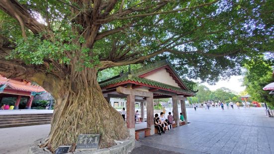 神光山國家森林公園位於梅州興寧，遠在昆明的偶，因為祖根在興寧