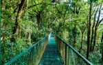 Monteverde Cloud Forest Biological Preserve