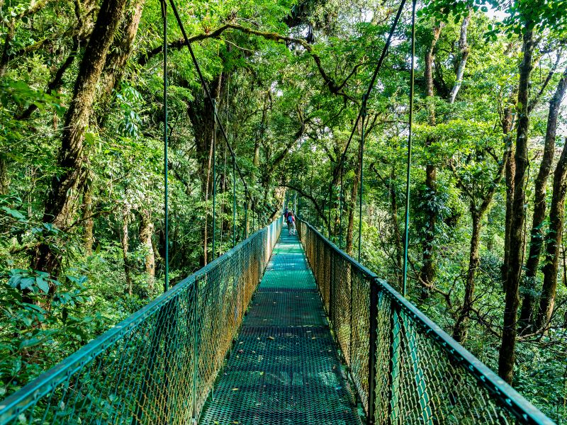 Monteverde Cloud Forest Biological Preserve