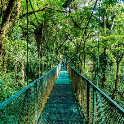 克波斯 飛 坦博爾