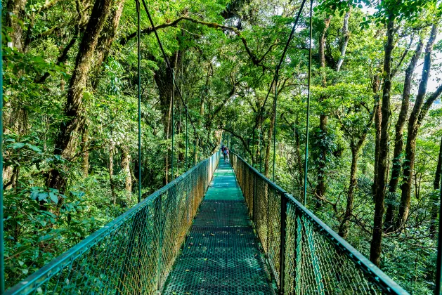 Costa Rica Marriott Hotel Hacienda Belen