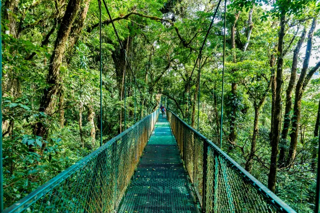 Family Friendly Hotels in Monteverde