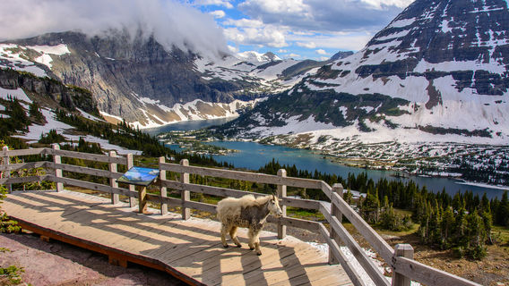 West Glacier