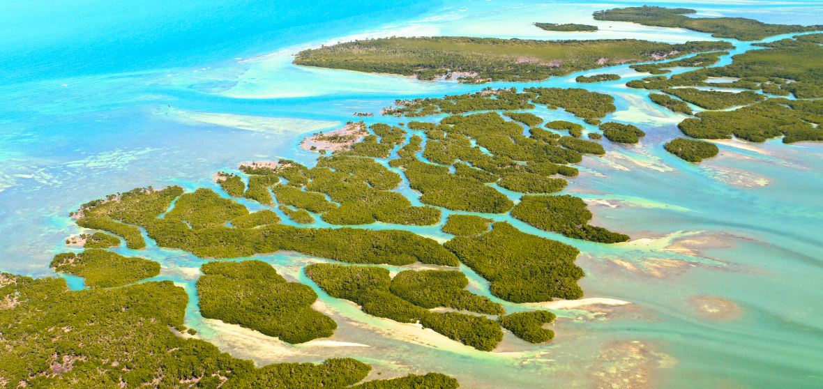 Keys August Florida Keys Travel Guide 2026: Top Attractions, Things to Do & Deals ...
