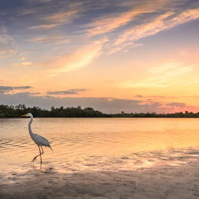Hotels in Marco Island With Gyms