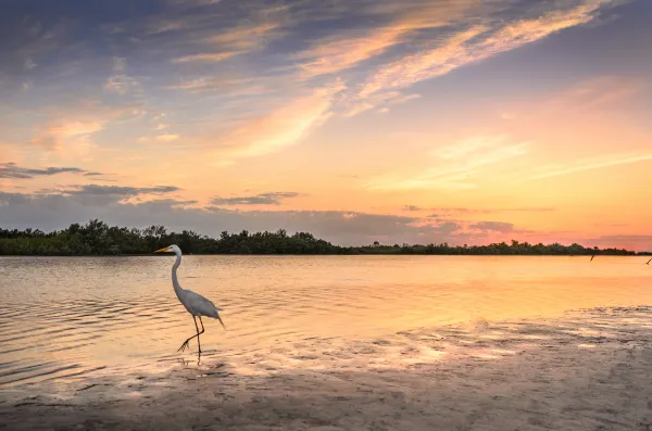 Hotels near Fort Lauderdale Beach