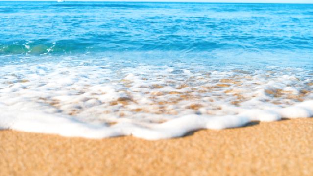 【包車】17里灣+卡梅爾小鎮+蒙特雷灣+加州1號公路一日遊