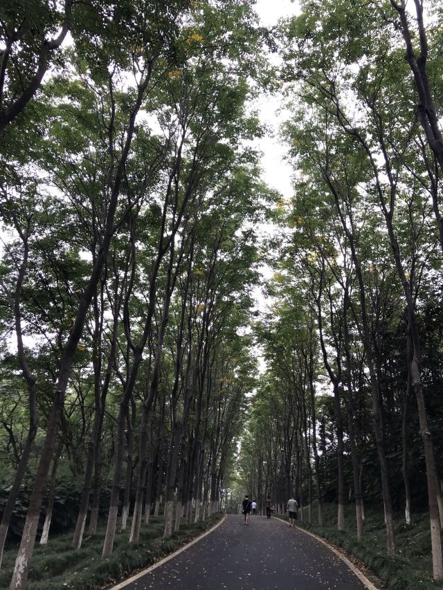 Longbeishan Forest Park
