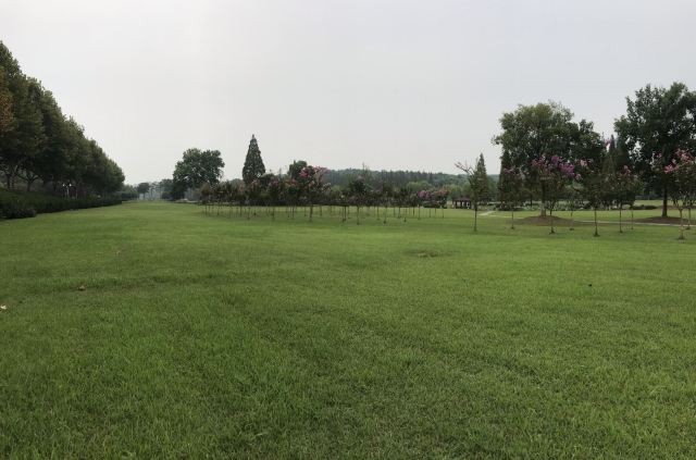 Longbeishan Forest Park