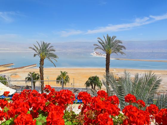 Dead Sea