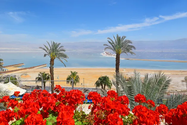 Dimona Apartments
