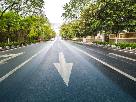 Zhengyang Pass Road