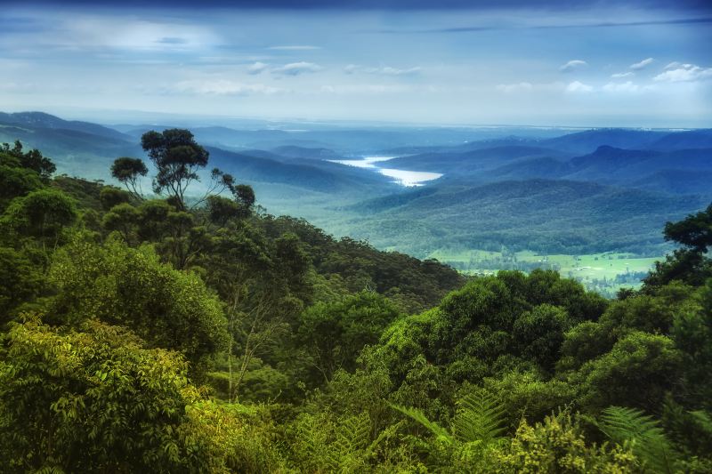 Lamington National Park