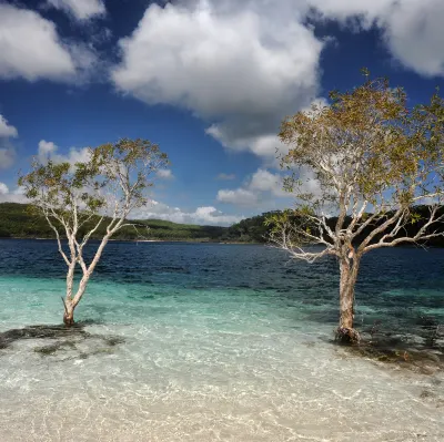 Gladstone to London Flights