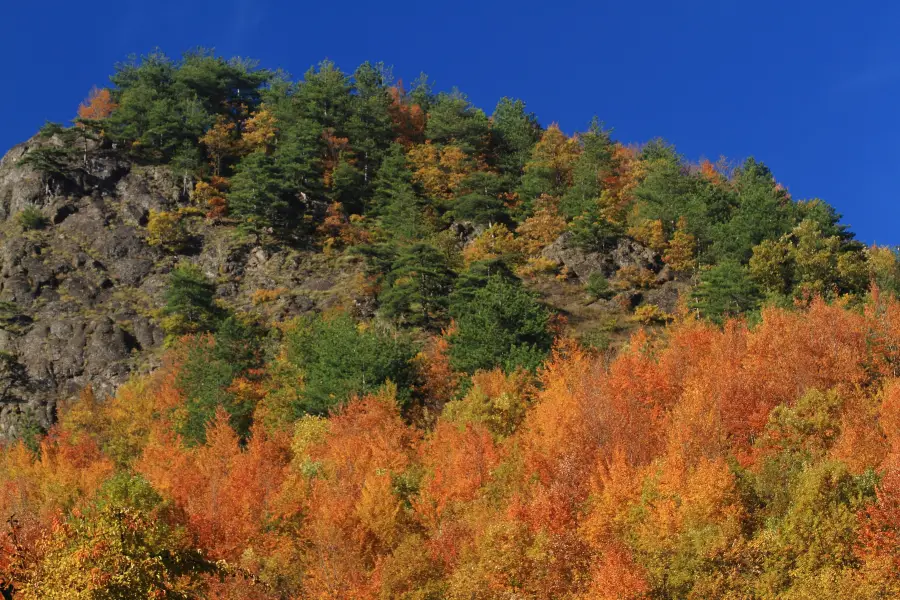 Yesanpo White Grass Scenic Area