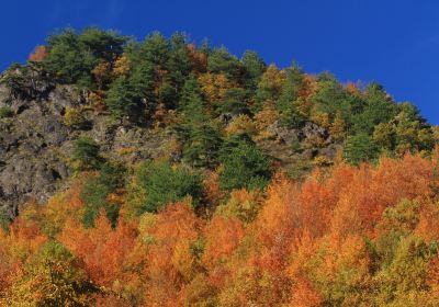 野三坡白草畔景区