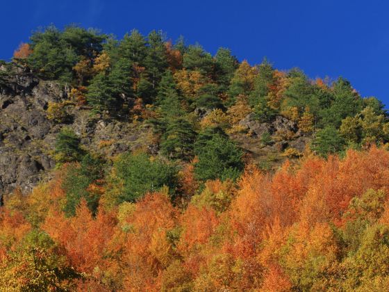 Yesanpo White Grass Scenic Area