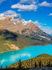 Peyto Lake