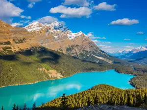 Peyto Lake