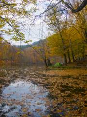 Shuimo Tingxi Scenic Spot