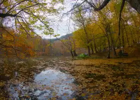 Shuimo Tingxi Scenic Spot