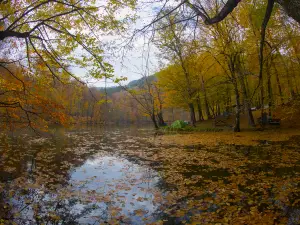 水墨汀渓風景区