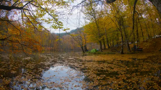 Shuimo Tingxi Scenic Spot