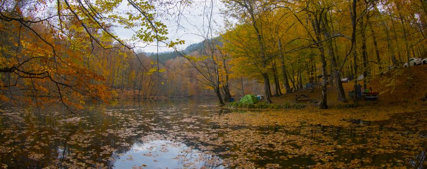 Bolu Province