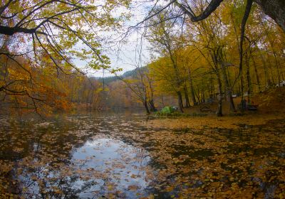 Shuimo Tingxi Scenic Spot