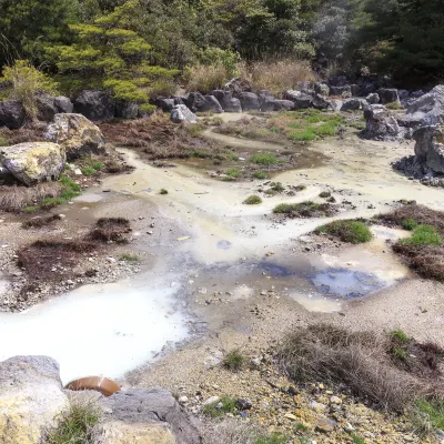 山形 飛 福江