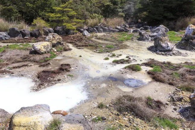 福江 飛 新潟