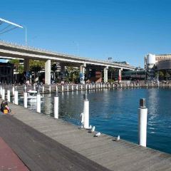 Cockle Bay Wharf 여행 사진