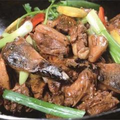 HAI XIAN DA PAI DANG User Photo