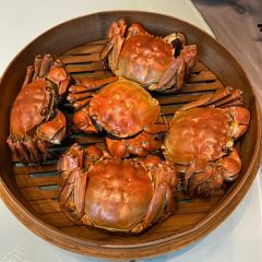 Tian Lun Li  (Xi hu dian) User Photo