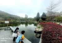 [親子好去處] 日式公園賞火紅杜鵑花+單車公園之櫻花樹下