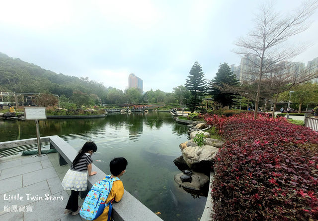 [親子好去處] 日式公園賞火紅杜鵑花+單車公園之櫻花樹下